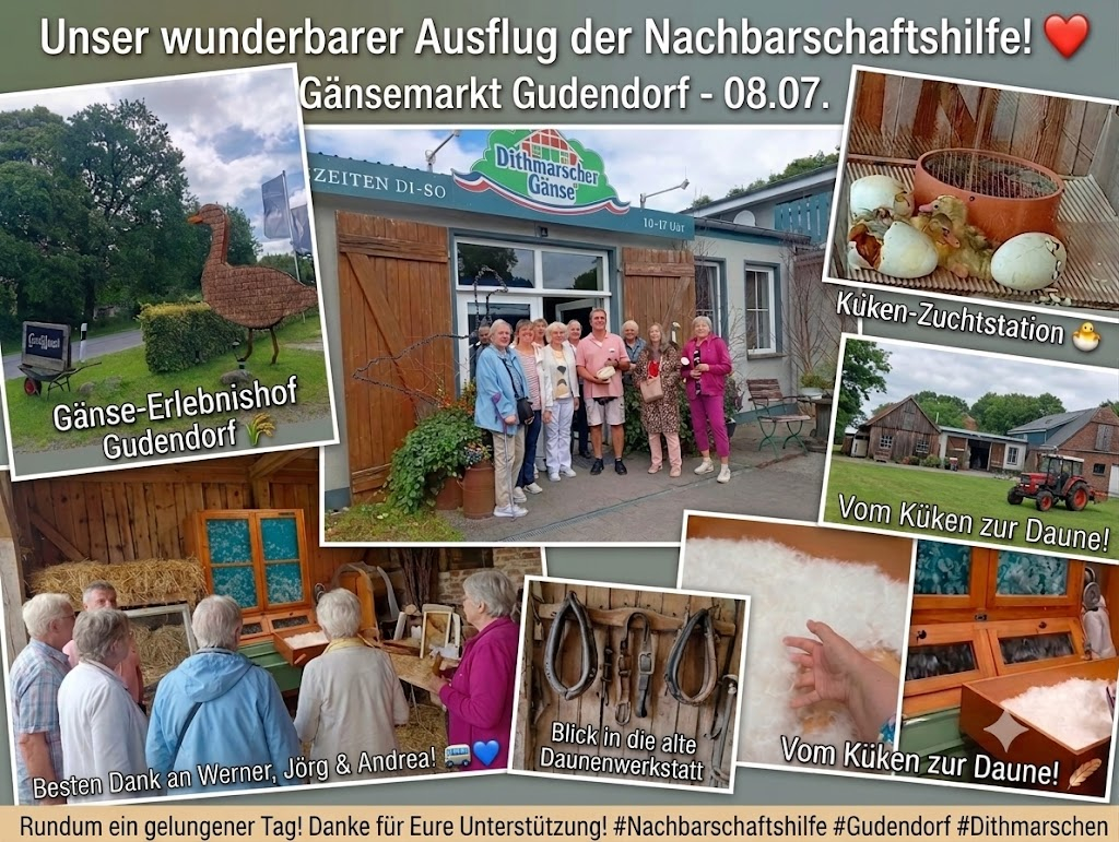 Collage mit verschiedenen Impressionen. Gezeigt wird die Gruppe, der Hof, Daunen etc.